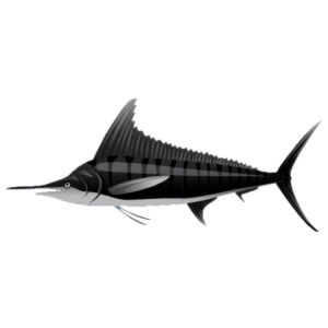 Charcoal Striped Marlin